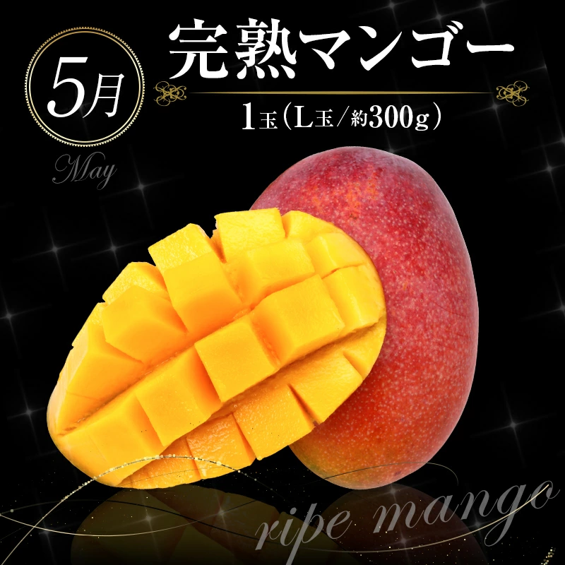 ããµãããšçŽçšãååœå®®åŽ æ¬ã®ãã ãã®å®æäŸ¿ 12ãæã³ãŒã¹ãF83-25ã