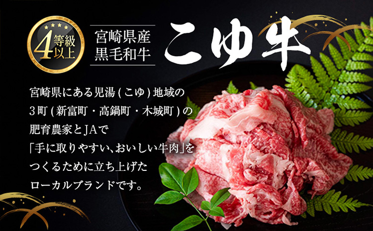 ［訳あり］宮崎黒毛和牛＜こゆ牛＞切り落とし 計1kg【B67】