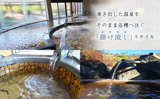 源泉掛け流し 天然温泉［サン・ルピナス］温泉チケット11枚 新富町温泉健康センター 入浴券 無期限 温泉利用券【C454】