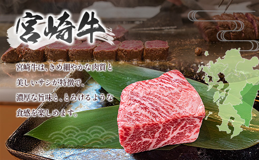 宮崎牛 × 宮崎県産豚 ステーキ食べ比べ 合計2.4kgセット［宮崎牛モモステーキ 800g ＆ 県産豚大判ロース 1.6kg］小分け 冷凍 バラエティ 個包装 ※ご入金月の翌月中に出荷【D155】