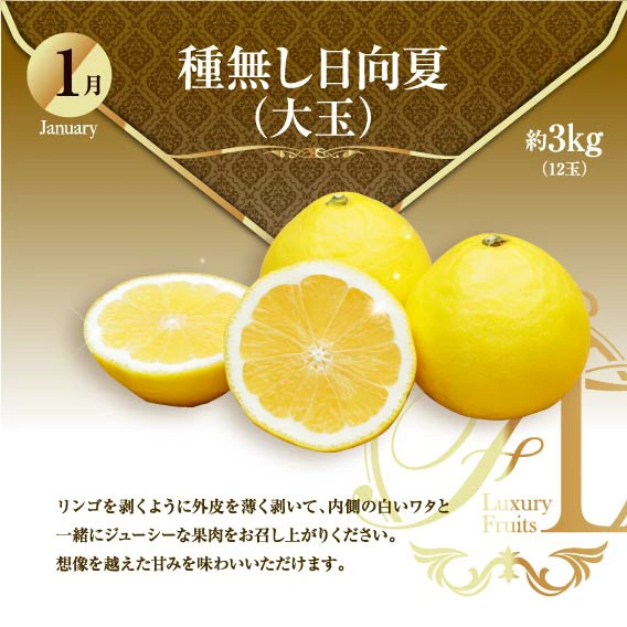 【ふるさと納税】旬のくだもの定期便 「特選コース」 全12回 マンゴー いちご マスカット 国産 宮崎【G52】