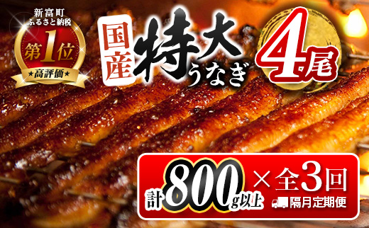 1尾約200g!! 特大うなぎ 4尾 隔月定期便 国産 鰻蒲焼 全3回（2026年1月 3月 5月お届け）計2.4kg以上 魚介 ウナギ 期間限定 鰻楽【E193-800-010305】
