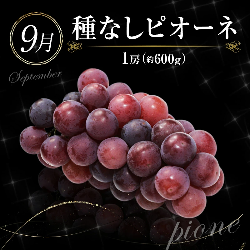 ããµãããšçŽçšãååœå®®åŽ æ¬ã®ãã ãã®å®æäŸ¿ 12ãæã³ãŒã¹ãF83-25ã