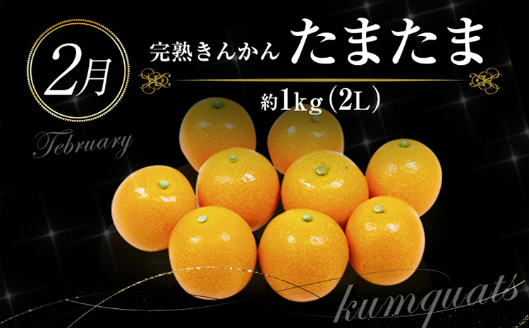 ［計6回］南国宮崎 〈特選〉旬のフルーツ定期便 偶数月コース【F86】