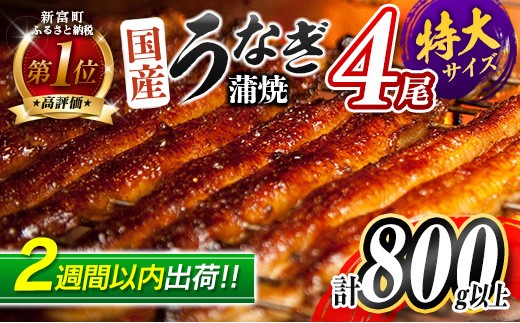 ［2週間以内に出荷!!］特大 うなぎ 鰻楽 国産 蒲焼 4尾 計800g以上 無頭 おすすめ 冷凍 簡単調理 個包装 鰻 贈答品 ギフト【C388-800-2w】