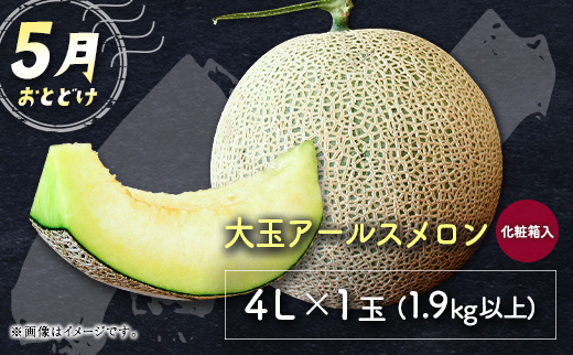 サマーフルーツ定期便 全3回＜メロン・マンゴー・ライチ＞ ※2026年5月開始 旬 果物【E244】