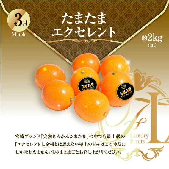 【ふるさと納税】旬のくだもの定期便 「特選コース」 全12回 マンゴー いちご マスカット 国産 宮崎【G52】