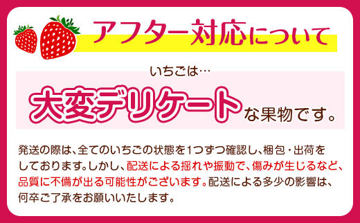 ＜2週間以内出荷!!＞宮崎県産 いちご「ゆめのか」計1kg（250g×4パック）フルーツ 期間限定 デザート【B701】