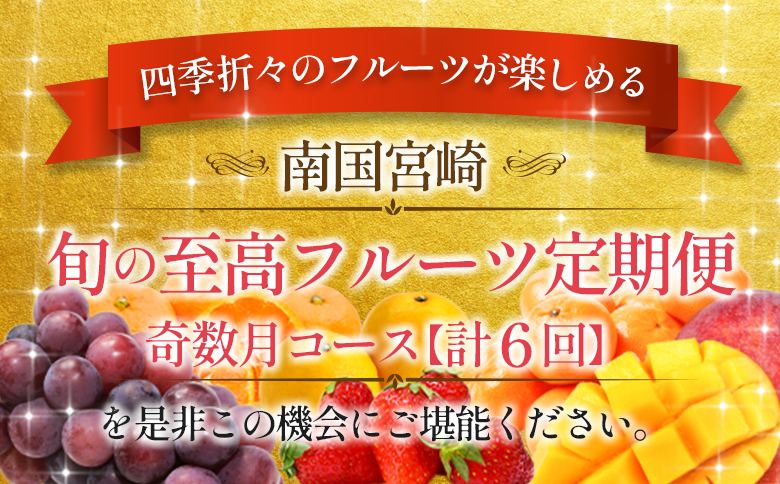 ååœå®®åŽ æ¬ã®ãè³é«ããã«ãŒãå®æäŸ¿ 奿°æã³ãŒã¹ïŒèš6åïŒãF95-24ã