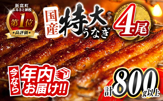 「年内配送可 12月15日決済完了分まで！」特大 うなぎ 鰻楽 国産 蒲焼 4尾 無頭 計800g以上 期間限定【C388-800-2512】