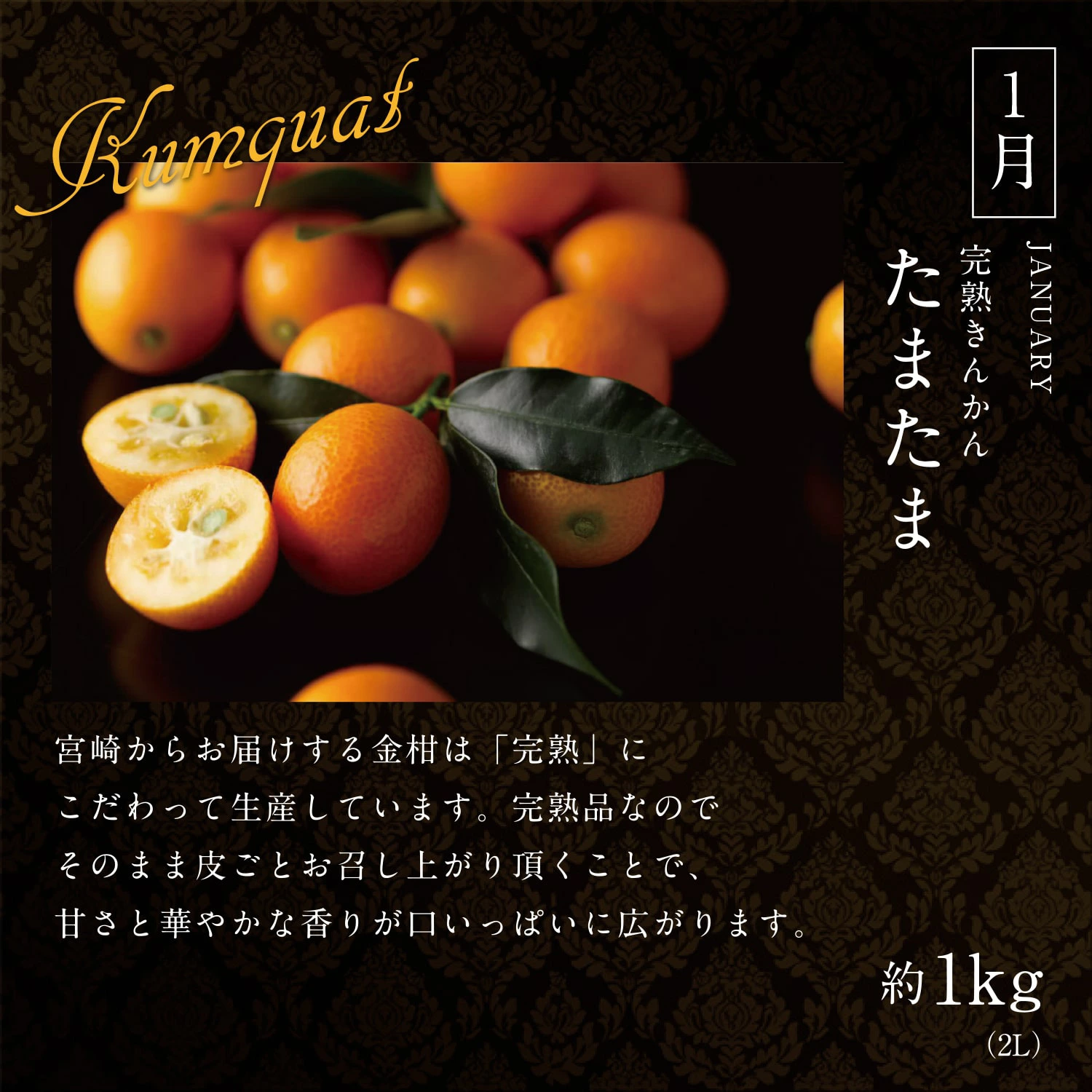 ããµãããšçŽçšãæ¬ã®ãã¬ãã¢ã ãã«ãŒãå®æäŸ¿ 12ãµæã³ãŒã¹ã F114-25ã