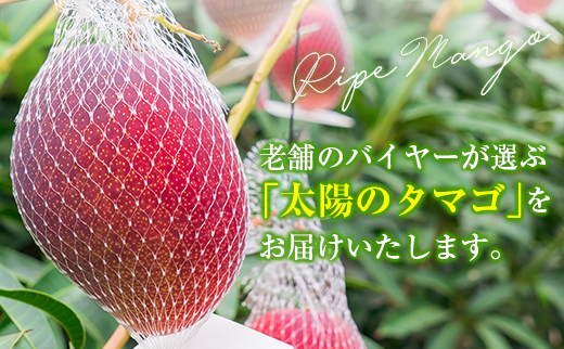 å®®åŽç¹ç£ã倪éœã®ã¿ããŽ2LÃ2çããå±ãå®æäŸ¿ïŒå
š3åïŒèš6ç ç¹ç£ åœç£ æç© ãã«ãŒã æ¬ ç£å°çŽéãF145-26ã