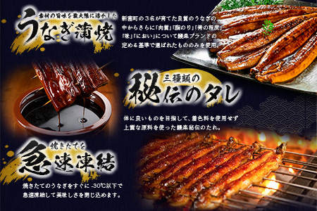 ［2週間以内に出荷］特大 うなぎ 鰻楽 国産 蒲焼 4尾 無頭 計760g以上 おすすめ 贈答品 ギフト 贈り物【C388-760-2W】