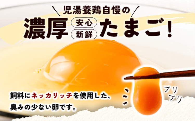 ＜児湯養鶏自慢の卵 ＞ネッカリッチ赤たまご「児湯一番」20個 1箱【A14】