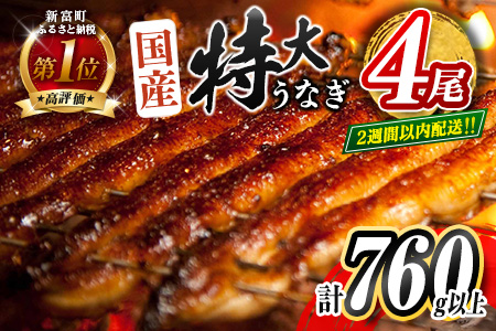 ［2週間以内に出荷］特大 うなぎ 鰻楽 国産 蒲焼 4尾 無頭 計760g以上 おすすめ 贈答品 ギフト 贈り物【C388-760-2W】