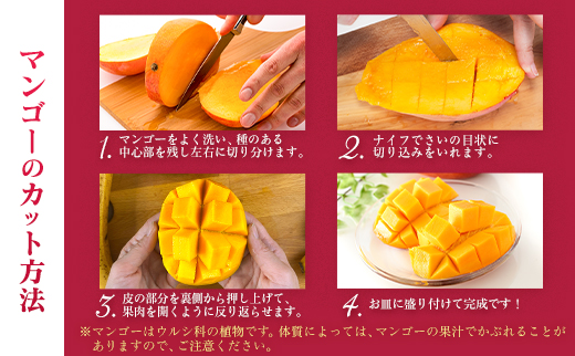 å®®åŽç¹ç£ã倪éœã®ã¿ããŽ2LÃ2çããå±ãå®æäŸ¿ïŒå
š3åïŒèš6ç ç¹ç£ åœç£ æç© ãã«ãŒã æ¬ ç£å°çŽéãF145-26ã