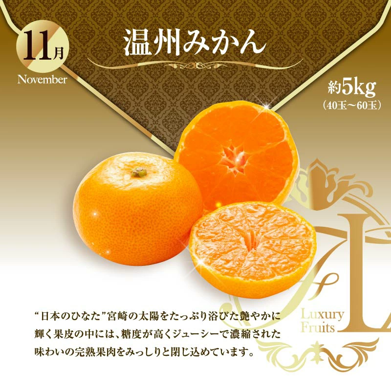 【ふるさと納税】旬のくだもの定期便 「極上コース」 全12回 マンゴー いちご マスカット 国産 宮崎【G53】