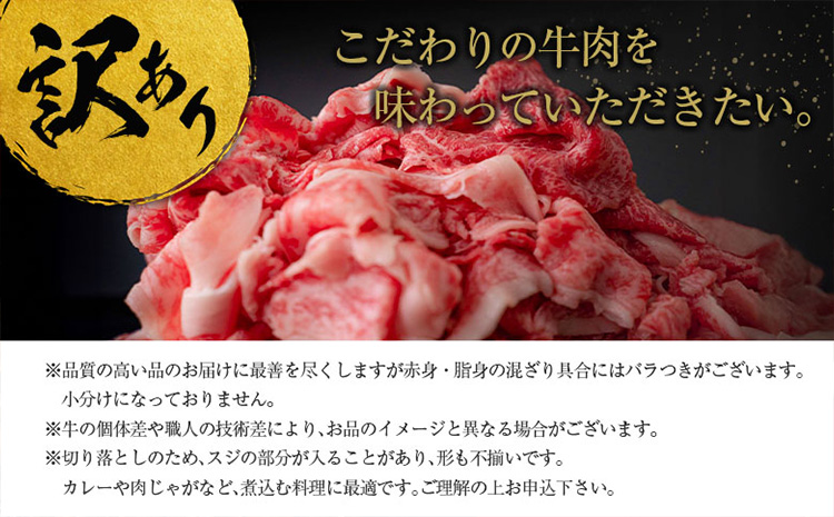 ［訳あり］宮崎黒毛和牛＜こゆ牛＞切り落とし 計1kg【B67】