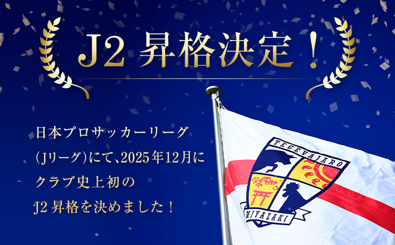 ＜J2昇格応援！＞テゲバジャーロ宮崎の活動支援 1口 50,000円【返礼品なし】サッカー Jリーグ J3 スポーツ 社会貢献 地域活動 応援寄附 ファン サポーター