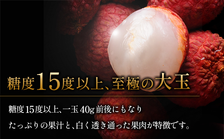《先行予約》希少！国産＜新富ライチ＞40g前後×10玉 国産 ブランド フルーツ 果物 贈答品【B120-2026】