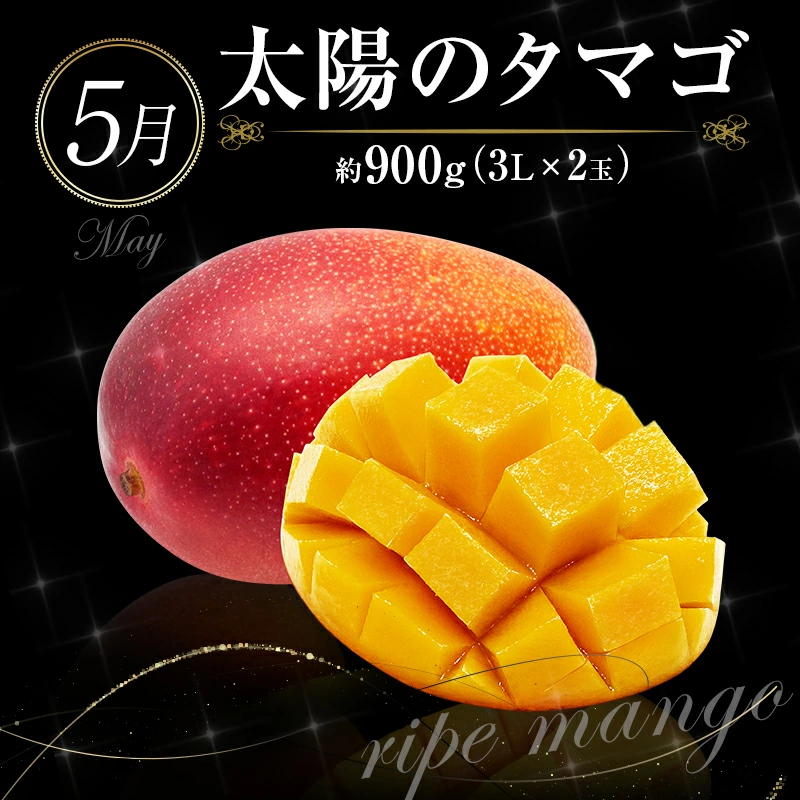 ããµãããšçŽçšãååœå®®åŽ æ¬ã®ãè³é«ããã«ãŒãå®æäŸ¿ 12ãæã³ãŒã¹ãG25-25ã