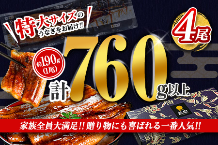 ［2週間以内に出荷］特大 うなぎ 鰻楽 国産 蒲焼 4尾 無頭 計760g以上 おすすめ 贈答品 ギフト 贈り物【C388-760-2W】