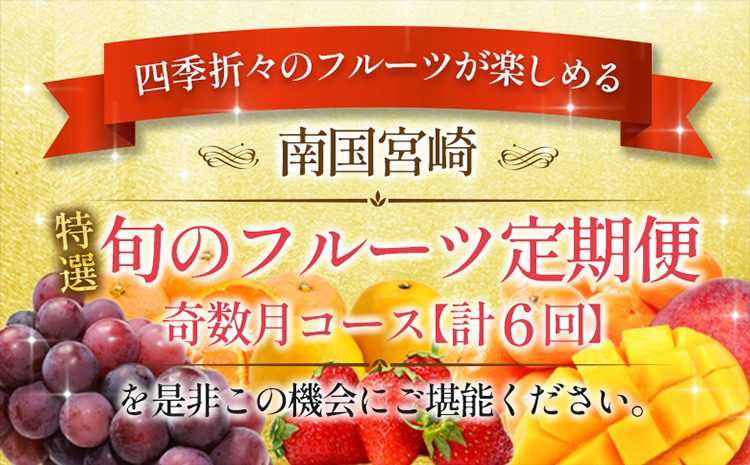 ［計6回］南国宮崎 〈特選〉旬のフルーツ定期便 奇数月コース【F85】