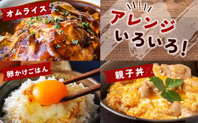 ＜児湯養鶏自慢の卵 ＞ネッカリッチ赤たまご「児湯一番」計60個（20個入×3箱）【B23】