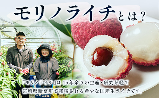 縲頑ア滓」ョ螳丈ケ九す繧ァ繝穂ス懊区眠蟇檎伴逕」縲後Δ繝ェ繝弱Λ繧、繝√阪い繧、繧ケ繧ア繝シ繧ュ 5蜿キ繧オ繧、繧コ 1蛟 15cm繝帙シ繝ォ縲織131縲