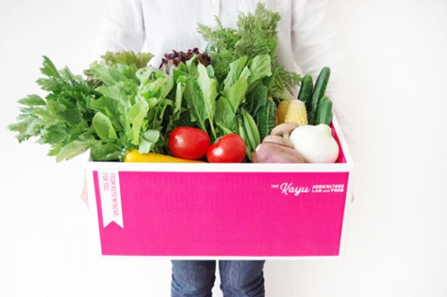 夢と希望が膨らむ豊かな暮らしづくり