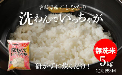 無洗米コシヒカリ 洗わんでいっちゃが５㎏✕３回定期便  計15㎏ K23_T006