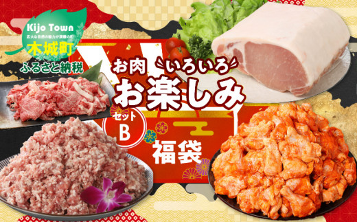 ★スピード発送!!７日〜10日営業日以内に発送★福袋 木城町 お肉いろいろお楽しみセットB K16_0070_3