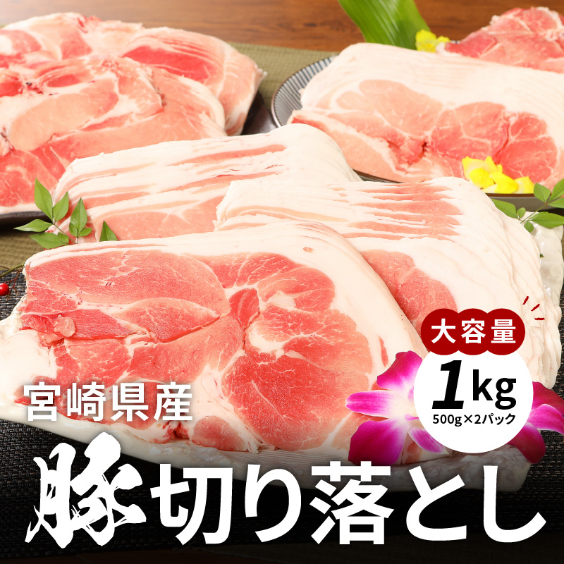 牛肉＆豚肉切り落としセット【合計2kg】 K16_0056_2