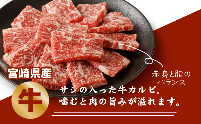 宮崎県産焼肉３種セット【タレ付き】（牛・豚・鶏） 計６００ｇ  カット済み  K16_0079_1