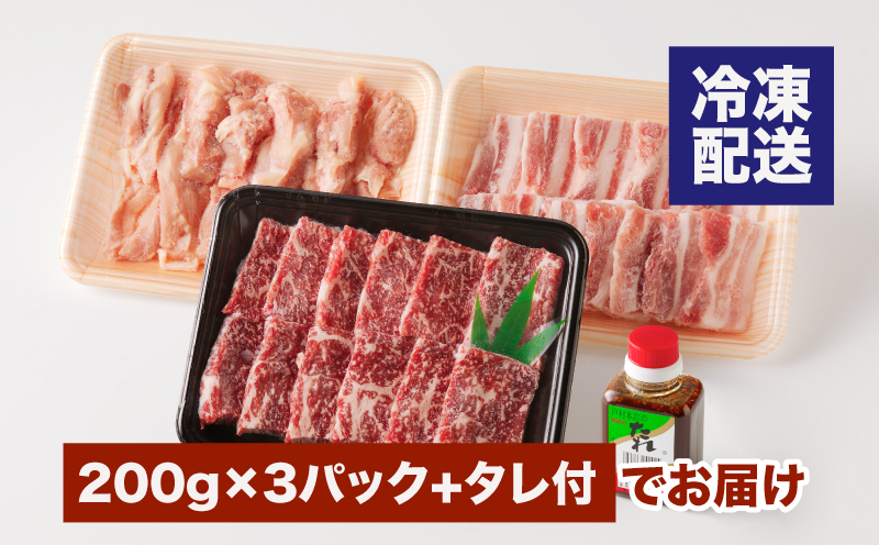 宮崎県産焼肉３種セット【タレ付き】（牛・豚・鶏） 計６００ｇ  カット済み  K16_0079_1