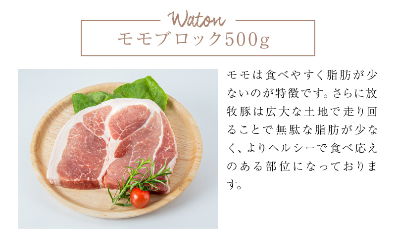 ≪放牧和豚≫4種のブロック食べ比べセット【合計2kg】K26_0042