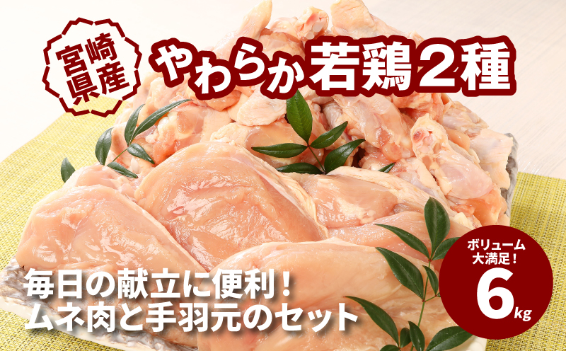 ＜宮崎県産鶏 やわらか若鶏2種6kg＞ K16_0027_2
