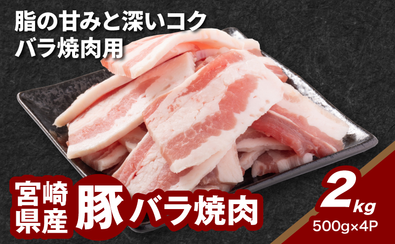 宮崎県産豚バラ焼肉 2kg K16_0187