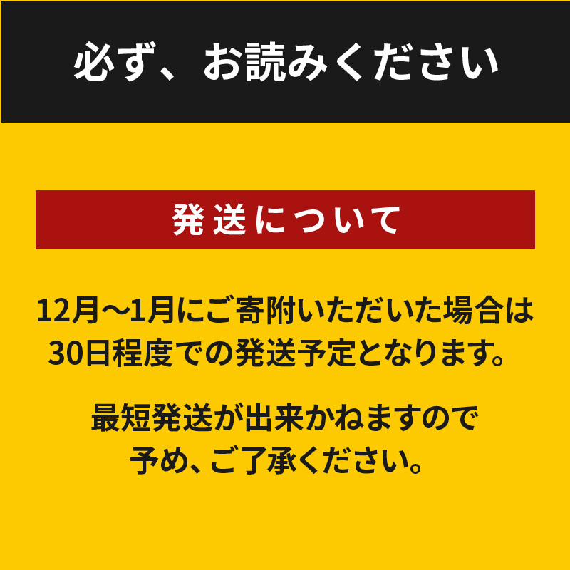 ★スピード発送!!７日〜10日営業日以内に発送★南国宮崎ポークハンバーグ100g×20個 K16_0164