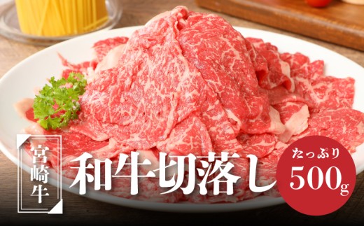 ＜宮崎牛　和牛　切り落とし500g＞ K01_0009_1