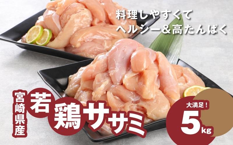 宮崎県産若鶏ささみ　1kg×5パック K16_0045_2