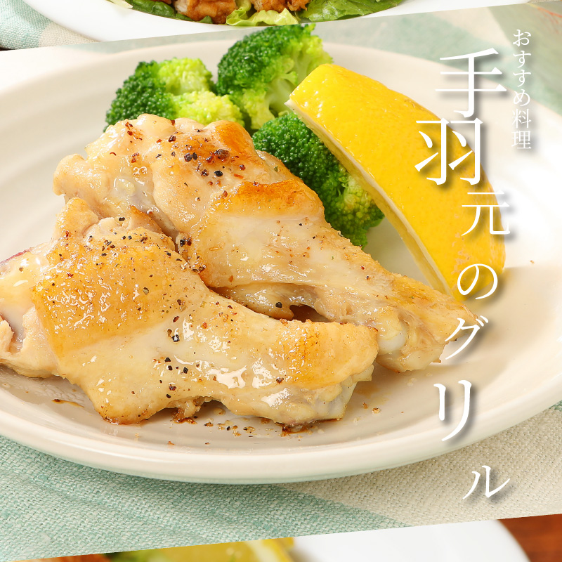 ＜宮崎県産鶏 スペシャル鶏三昧5kgセット＞ K16_0017_4