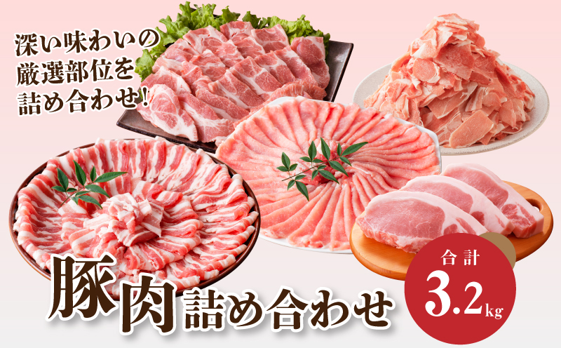 宮崎県産 豚肉詰め合わせ3.2Kｇ K18_0040_2