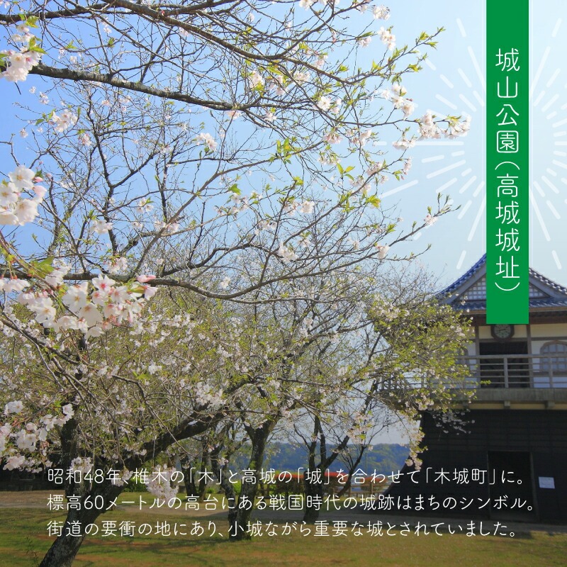 【宮崎県木城町】寄付のみの応援受付(返礼品はございません) 5000円_ K00_0006