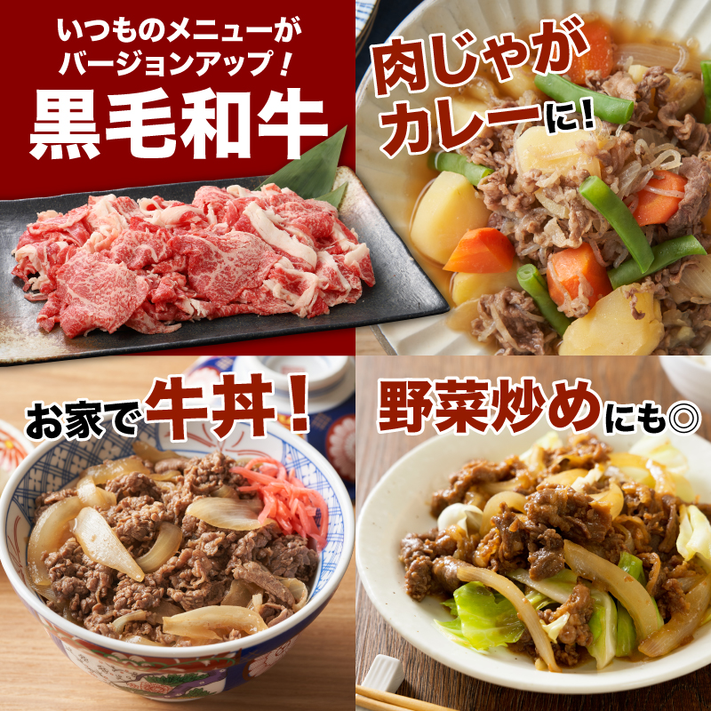 牛肉＆豚肉切り落としセット【3か月定期便】 K16_T004_3