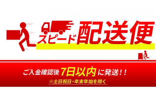 【7日以内に発送！】【プレゼント・ギフト】令和6年産 木城町・毛呂山町 新しき村友情都市コラボ 日本酒 純米吟醸「城 〜不落の城」2本 K21_0043