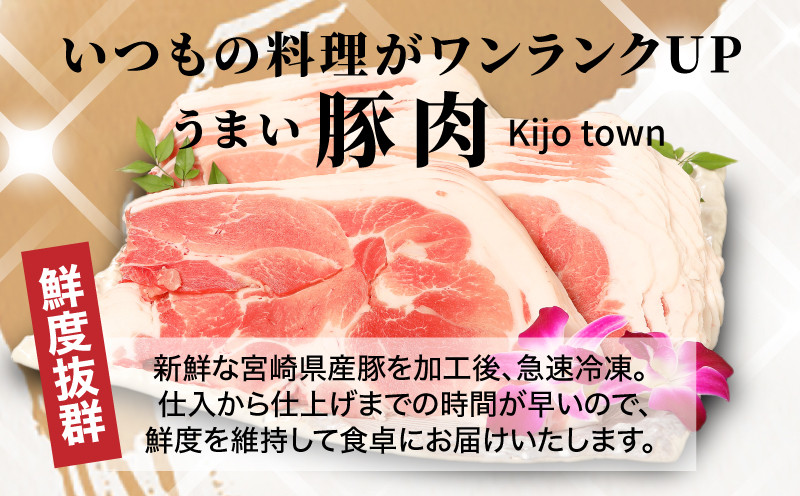 ★スピード発送!!７日〜10日営業日以内に発送★【訳あり】宮崎県産豚切落し5kg(500g×10パック) K16_0055_3