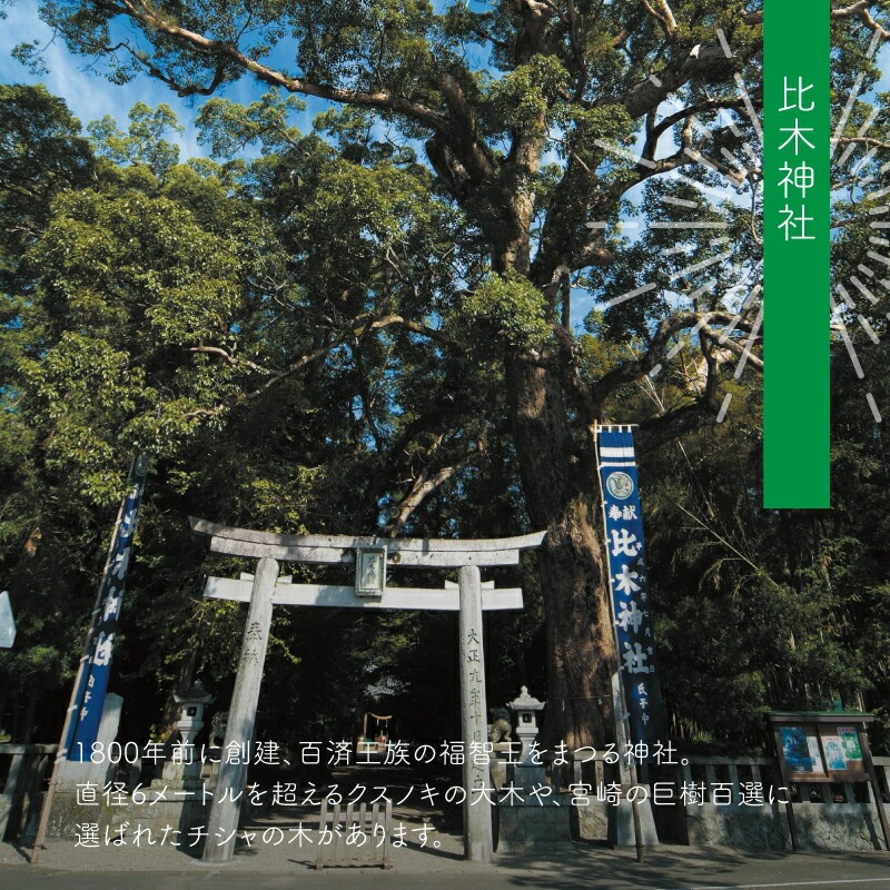 縲仙ョョ蟠守恁譛ィ蝓守伴縲大ッ莉倥ョ縺ソ縺ョ蠢懈抄蜿嶺サ(霑皮、シ蜩√ッ縺斐*縺縺セ縺帙s) 3000蜀_ K00_0005