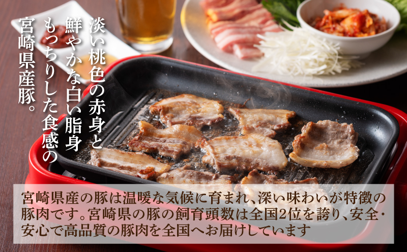 宮崎県産 豚肉焼肉・しゃぶしゃぶ詰め合わせ1.8Kｇ K18_0041_1