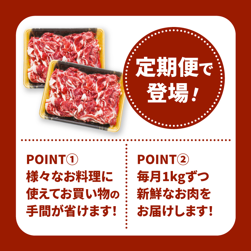 宮崎県産黒毛和牛 贅沢切り落とし1kg(500g×2)×3回定期便 K16_T014